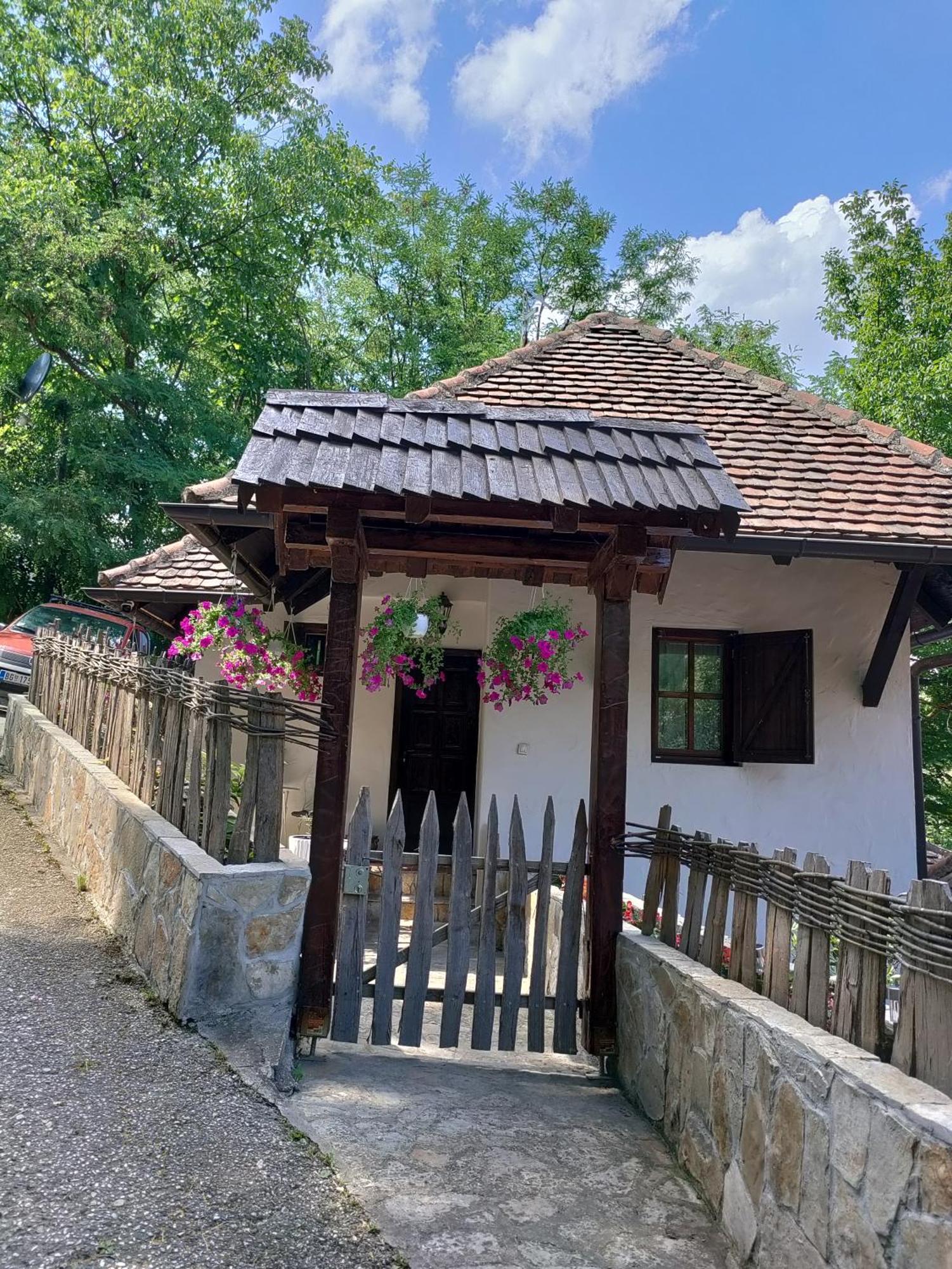 Konak Lecic Trsic Екстериор снимка